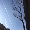 おしるし？？と思ったら。。。の画像