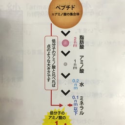 画像 「やっとかめ〜！」 の記事より 5つ目
