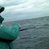 1月23日マハタ釣り専門結果速報の画像
