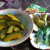 第２５５回目の雄叫び「さつまいも＆かぼちゃ＆夏野菜！！」の画像