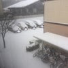 福岡、大雪(ﾟoﾟ;;の画像