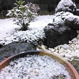 2016年1月メダカの危機１
