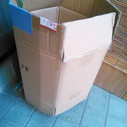 2016年1月メダカの危機２