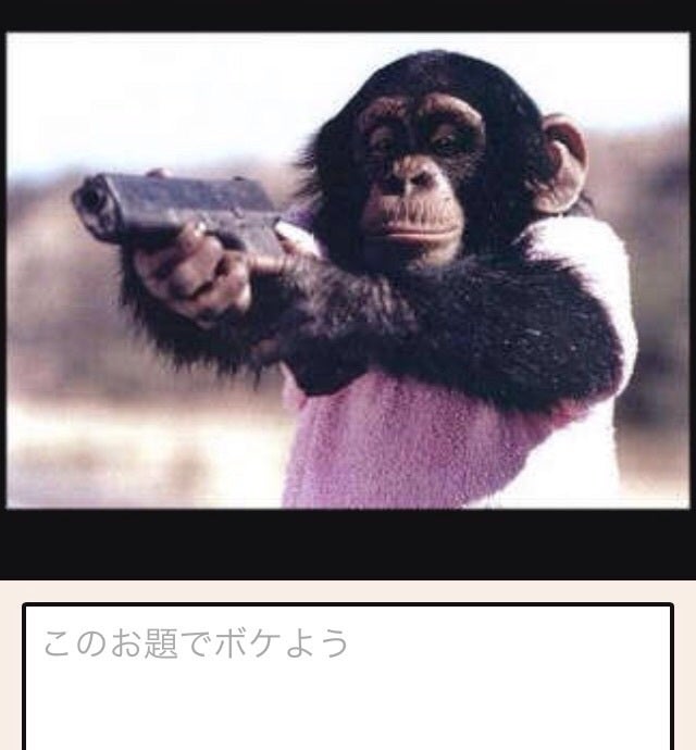 今夜の サル ゴリラ チンパンジー | 『晒しな日記』