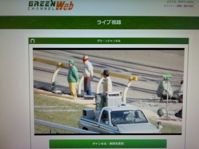 グリーン チャンネル web