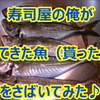 YouTube更新♪『寿司屋の俺が貰った魚をさばいてみた』アジ編の画像