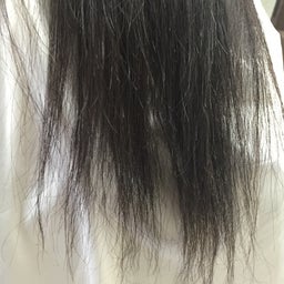 画像 春から「JK」だもんね〜！ の記事より 2つ目