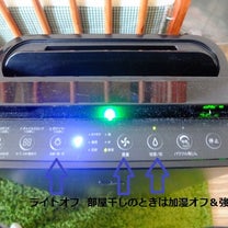 ブログ投稿画像