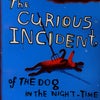 『The Curious Incident of the Dog in the Night-Tiの画像