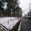 雪の京都の画像