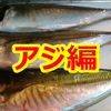 YouTube更新♪『寿司屋の俺が、貰った魚をさばいてみた』アジ編♪の画像