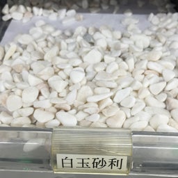 白玉