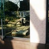 子連れ お出かけ 上野 * 上野動物園の画像