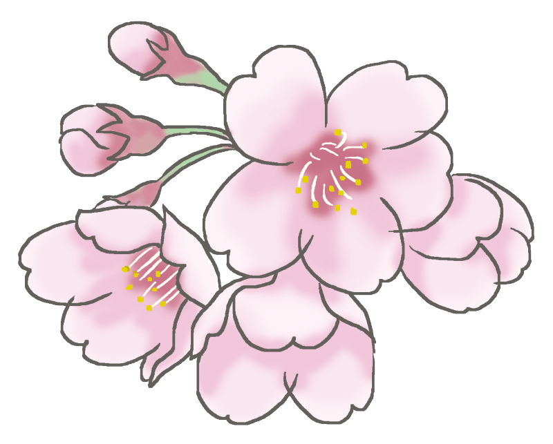 桜は下向きに咲く 浅野嘉久公式ブログ