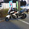 春本番の温かさの画像