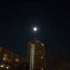 お月様の画像