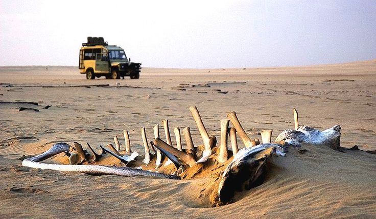 一度は行ってみたい世界の絶景 ナミビア ナミブ砂漠 スケルトンコースト 骸骨海岸 ぜひ行って欲しい 世界のお勧め絶景スポットを紹介するブログ
