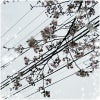 ♥3m29d＊Benpiで小児科へ♥の画像
