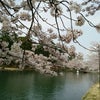 前橋敷島公園の画像