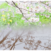 私だけの世界の画像