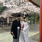 満開桜♡神前式から始まる素敵なウエディングDAY！の記事より