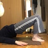 【本日開催】〜自分で出来る骨盤ストレッチ体操〜の画像