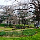 昭和記念公園の風景 ４の記事より