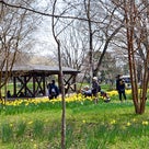 昭和記念公園の風景 ４の記事より