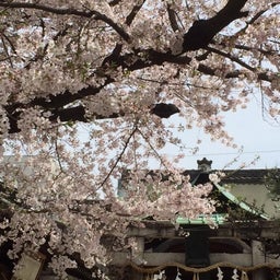 菅原神社３