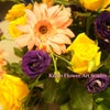 Harrow Collage Seasonal design course startedの画像