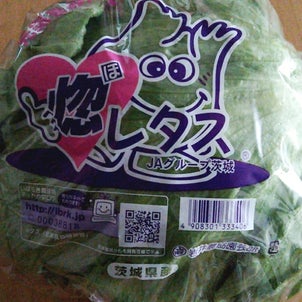納得。の画像