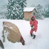 雪中キャンプ体験記 (後編)の画像