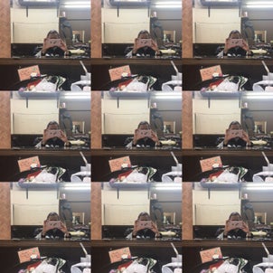 しげの画像