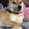 点滴の画像