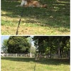 もう少し、ここに…の画像