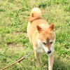 今日の出来事の画像