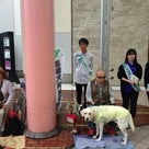 仙台市で盲導犬ふれあい募金活動♪の記事より