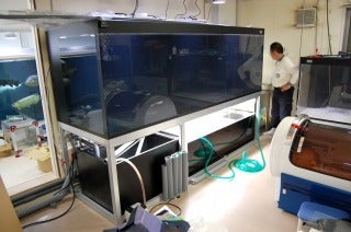ビックタンク 大型水槽 のための濾過設備工事例 錦鯉ブログ 京阪錦鯉センター