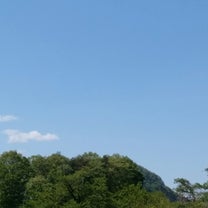 ブログ投稿画像