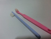 猫歯ブラシ