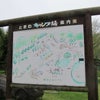 安平町ときわキャンプ場の画像