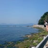３ヶ月ぶりの志賀島～の画像
