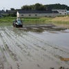 試験米の田植えの画像