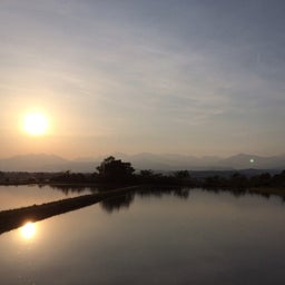 {50C922F1-438D-4EF4-9DB1-2E5CC317F6B8}