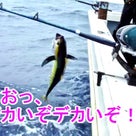 4月17日慶良間船釣り[パヤオでマグロ続々と！！]青柳さま御一行♪の記事より