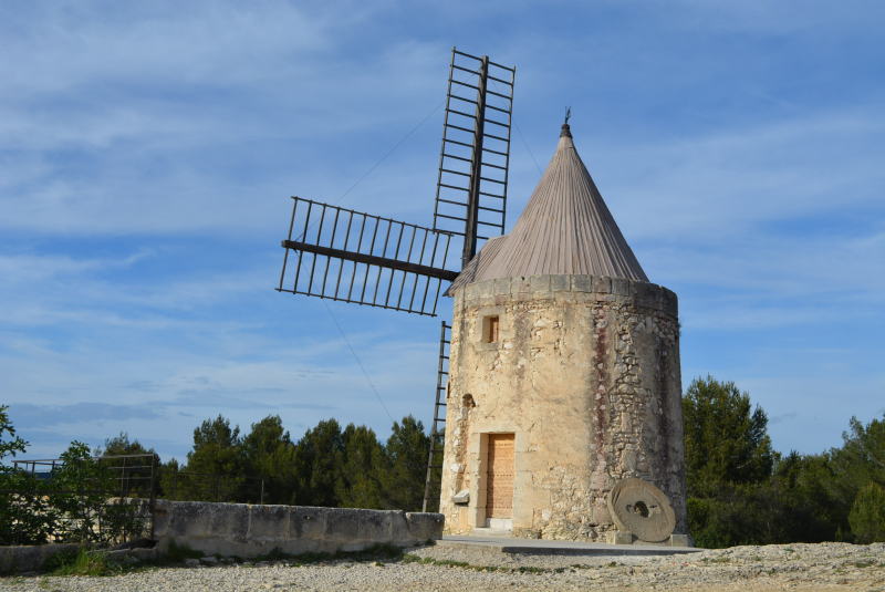 南仏プロヴァンス フォンヴィェイユ - ドーデの「風車小屋」うさぎが 