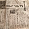日経新聞に「森のようちえん」の画像
