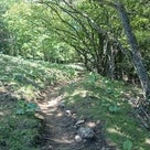 奥多摩の六ツ石山へ行ってきました。２０１６年５月２２日の記事より