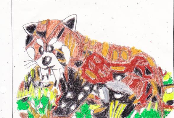 今日はたくみ２０歳の誕生日です たくみ大図鑑３１ ７０ レッサーパンダ ７１ ハナサキガエル 猫大好き 絵 を描くのが大好き たくみとクッキーのブログ