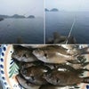 昨日、千葉県内房の保田吉浜堤防に釣りに行って来ました。の画像